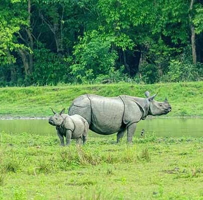 Assam - Meghalaya Tour Package (6 Days)