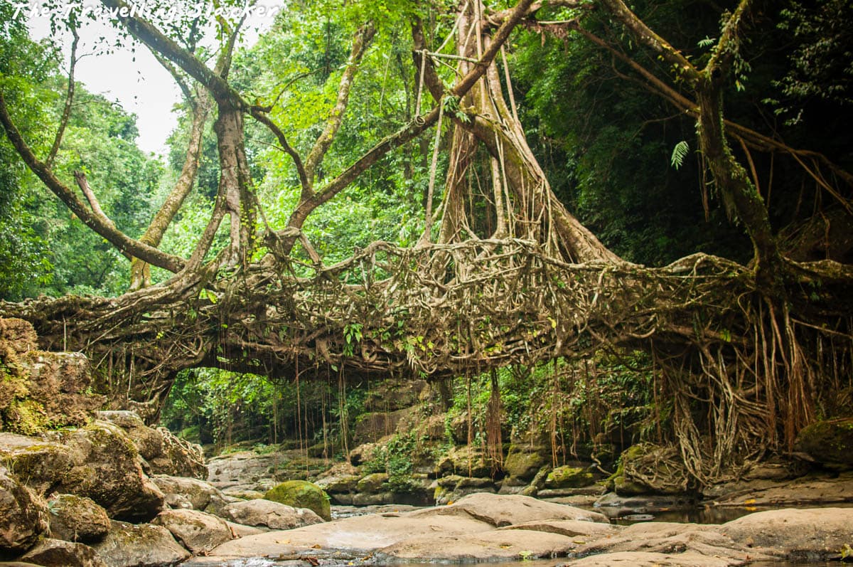 Assam - Meghalaya Scenic Tour